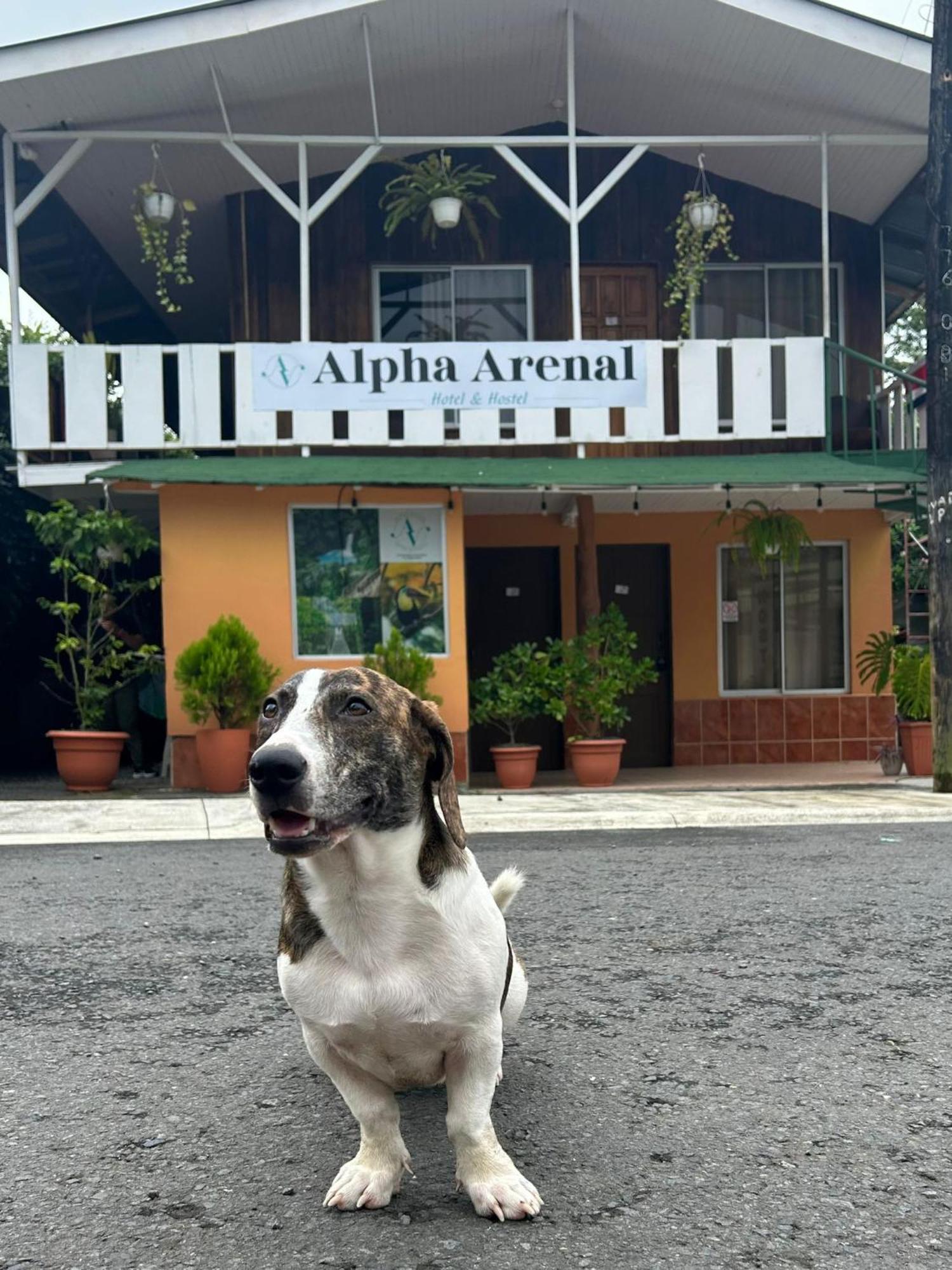 Hostel Alpha Arenal La Fortuna Exterior foto